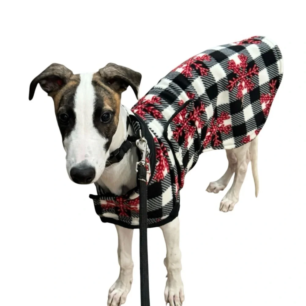 Plaid Dog Coat with Red Accents